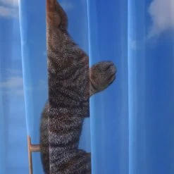 YIDOMDE Rideau De Douche Résistant à Moisissure Imperméable Avec Des Crochets, Tissu Polyester Lavables, Rideaux De Douche Pour Salle De Bains Facile à Nettoyer, Imprimé Chat Et Oiseau 180x180cm -Rideau et tringle Soldes 2024 65745899 4